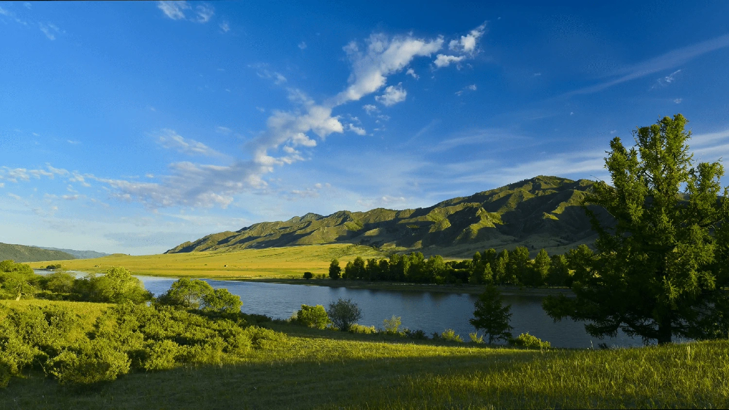 A royalty free photo of a green valley with a river and trees